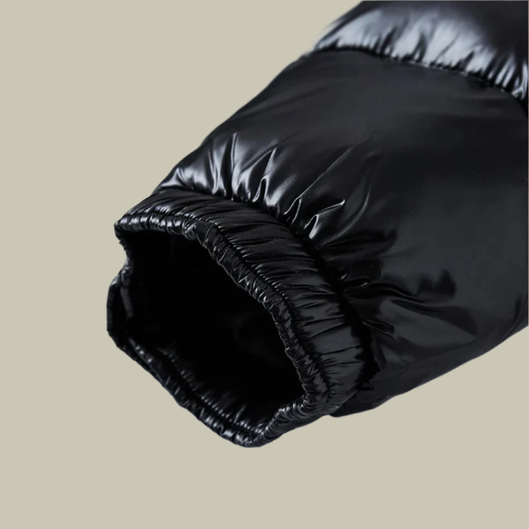 Lux & Classy • Men's Warm Puffer Winter Jacket